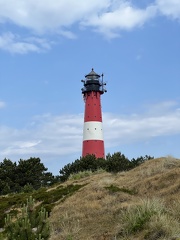 IMG 6091