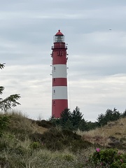 IMG 6169