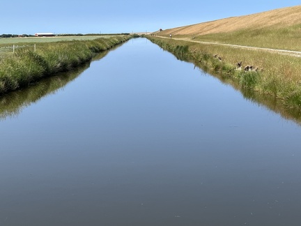 IMG 6359
