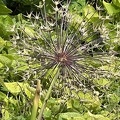 IMG 6538