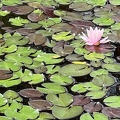IMG 6544