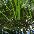 IMG 6547