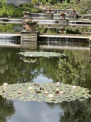 IMG 6548