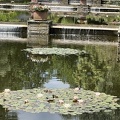 IMG 6548
