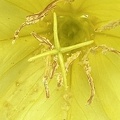 IMG 6559