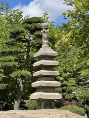 IMG 6565