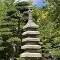 IMG 6565