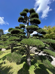 IMG 6566