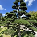 IMG 6566