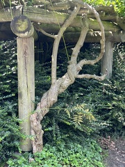 IMG 6567