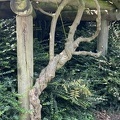 IMG 6567