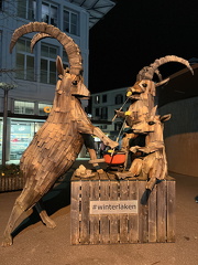IMG 0546