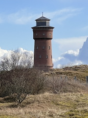 IMG 1535