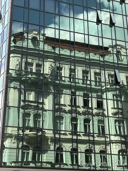 IMG_3089.jpeg