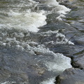 IMG 5799
