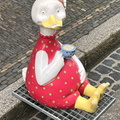 IMG 3837
