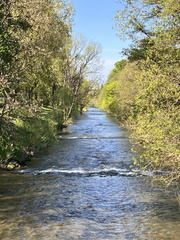 IMG 4557