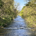 IMG 4557