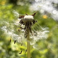 IMG 4559