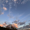 IMG 4484