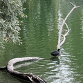 IMG 6719