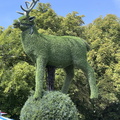 IMG 6751
