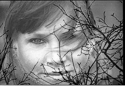 Photodesign Ute Schaab